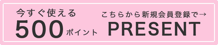 新規会員登録で500ポイントプレゼント